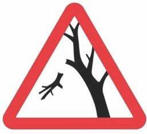 Danger forêt