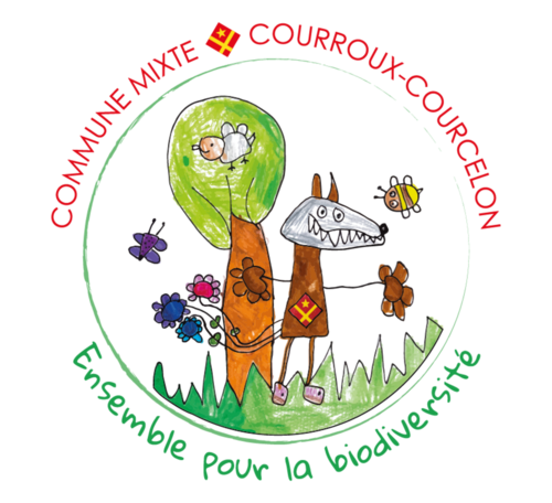 Biodiversité - Distribution des arbustes - 07.02.26 10h-12h