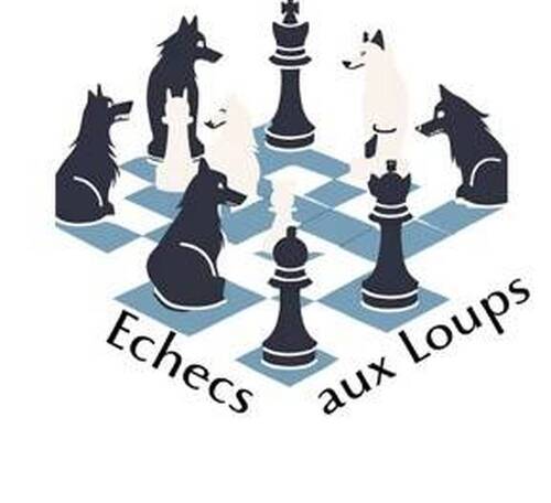 Tournoi d'échecs juniors - 08-11-26