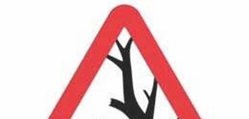 Danger forêt