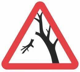 Chutes branches
