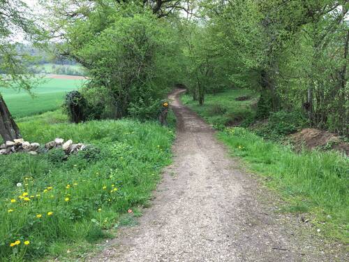 Réserve naturelle du Colliard