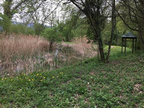 Etang de la Fortaine