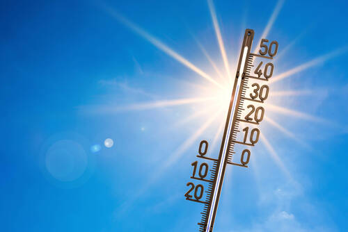 Canicule